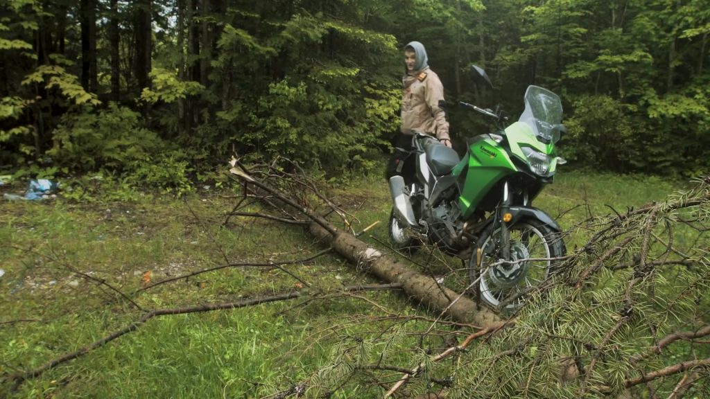   Kawasaki Versys-X 300 in Forest